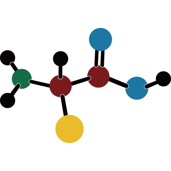 Member